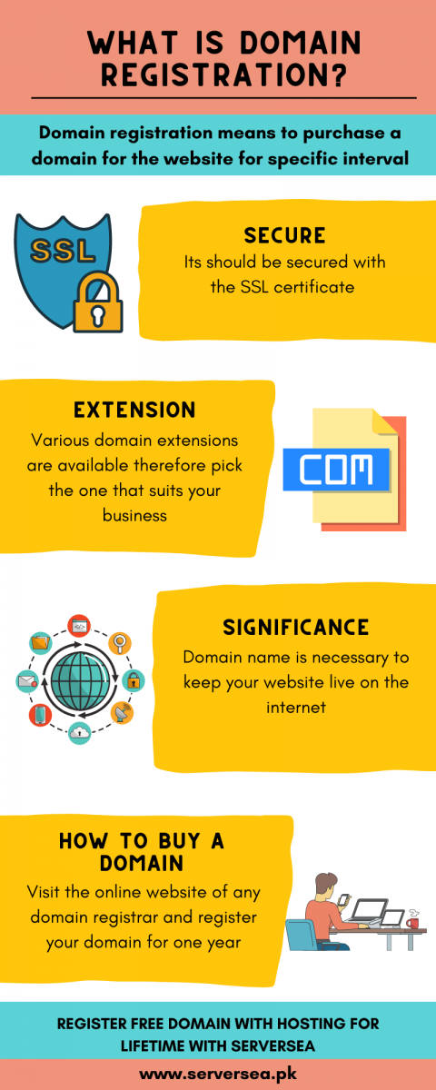 what-is-domain-registration-infographics